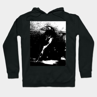 Dark Raven Hoodie